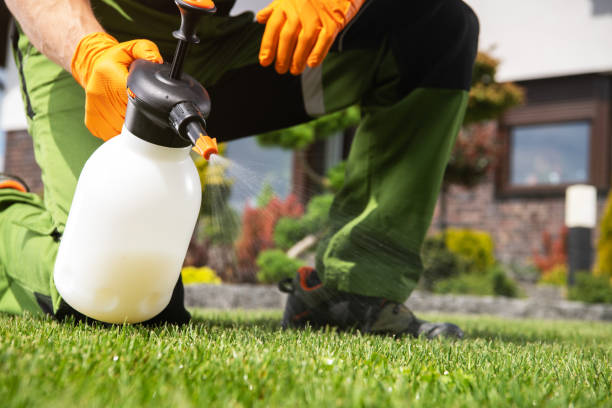 Reliable Snowflake, AZ Pest Control Solutions