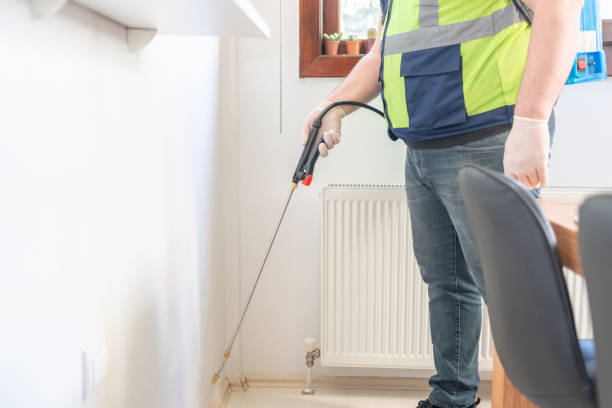 Best Flea Control Services  in Snowflake, AZ